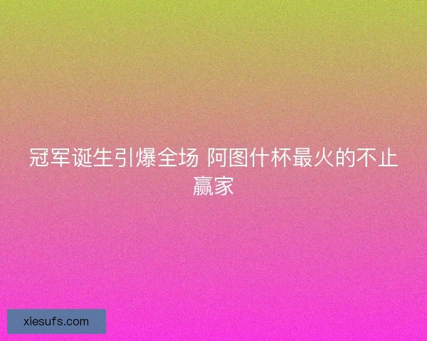 冠军诞生引爆全场 阿图什杯最火的不止赢家