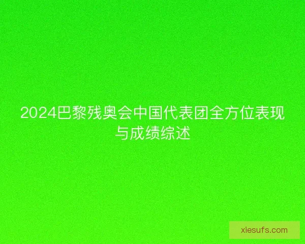 2024巴黎残奥会中国代表团全方位表现与成绩综述